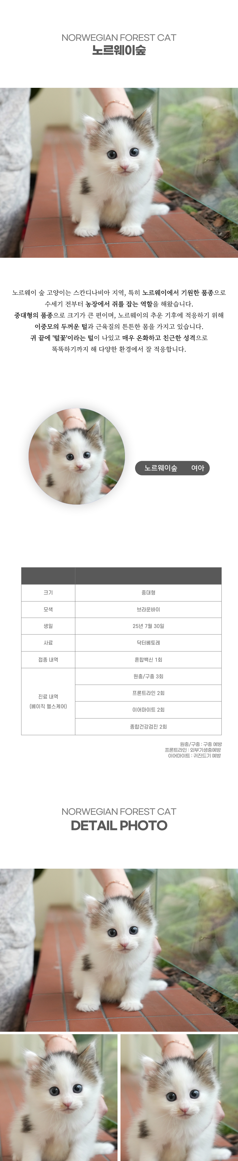 노르웨이숲_상세이미지_2
